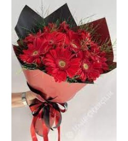 BUKET 2 cerbera 10 adet